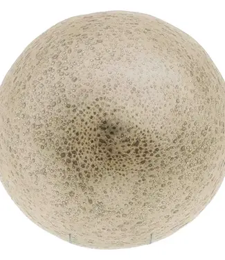 DutZ Schaal Bubbles Beige | Diameter 47 cm