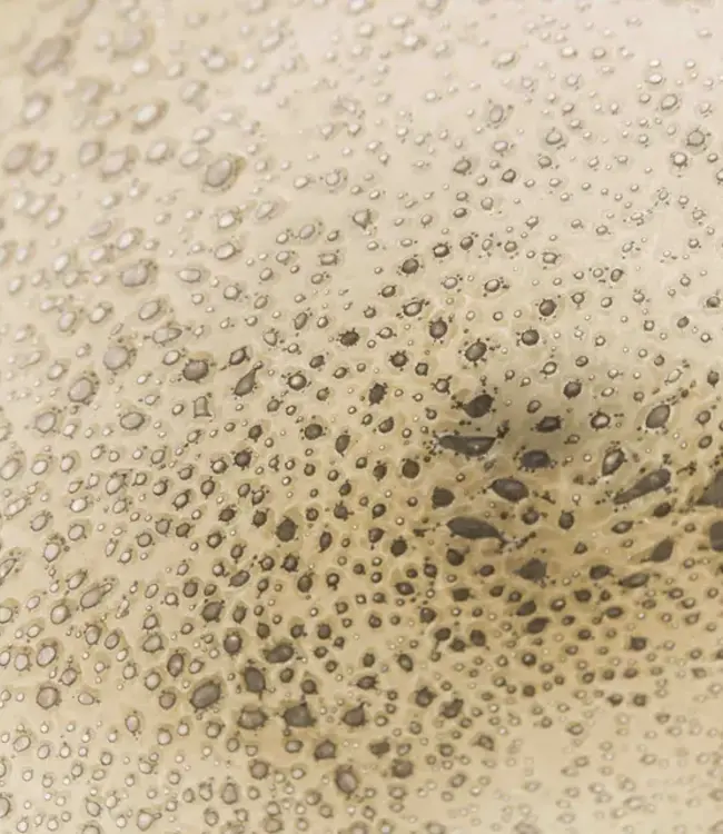 DutZ Schaal Bubbles Beige | Diameter 47 cm