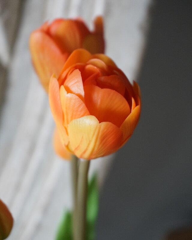 Rene Houtman Real Touch Tulpen | Oranje | 5 Stuks | L44 Cm