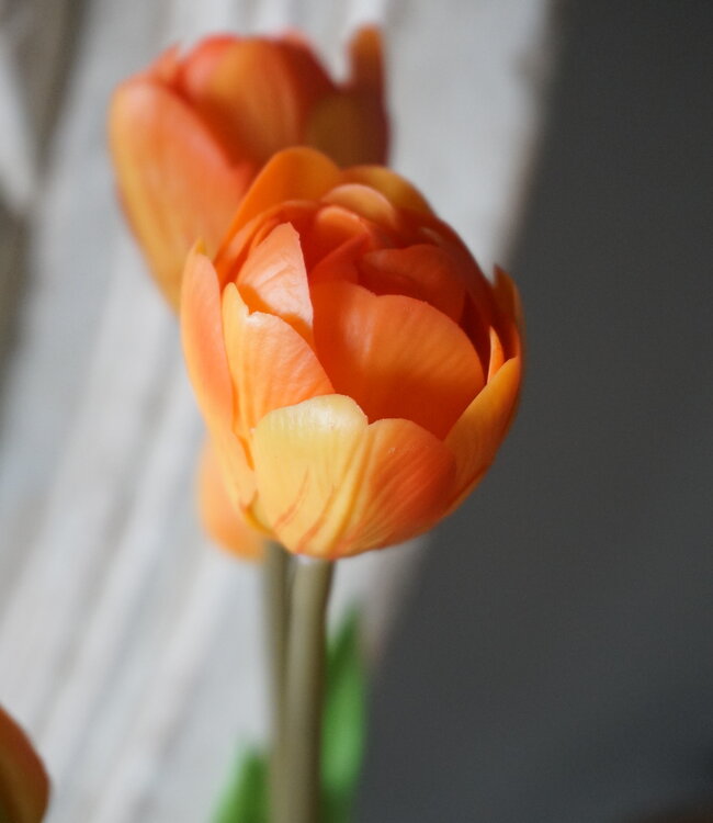 Rene Houtman Real Touch Tulpen | Oranje | 5 Stuks | L44 Cm