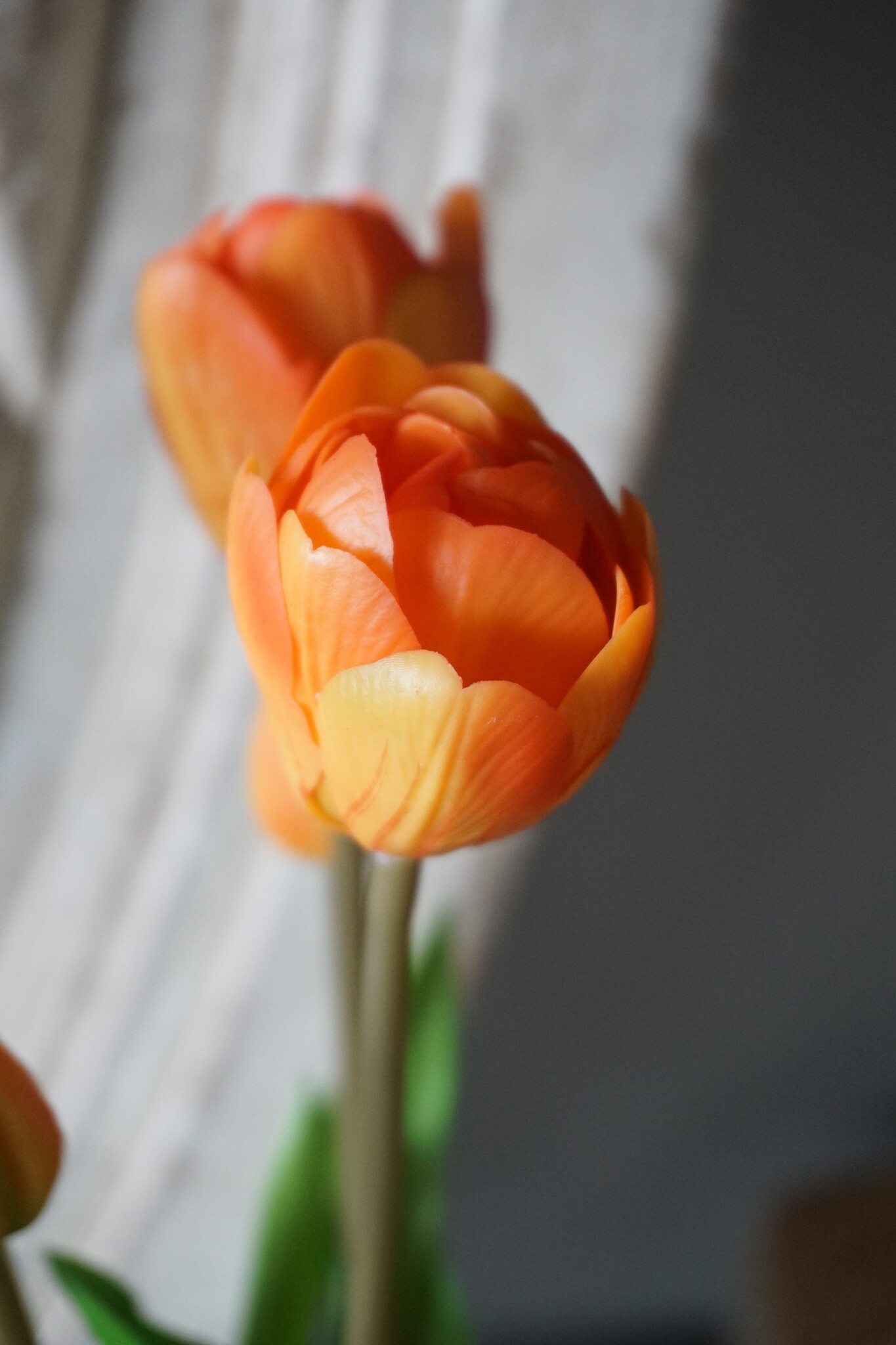 Rene Houtman Real Touch Tulpen | Oranje | 5 Stuks | L44 Cm