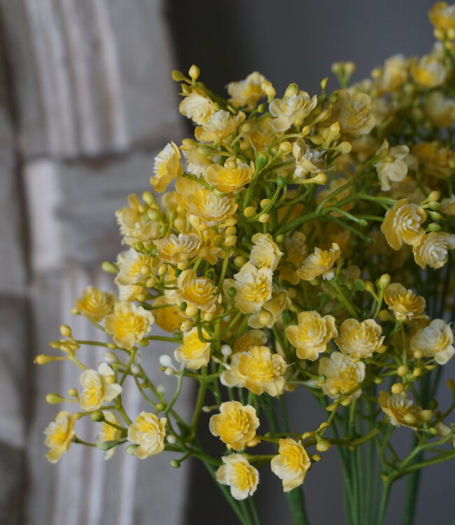 Rene Houtman Zijden Gipskruid | Geel | 4 Stuks | L70 cm