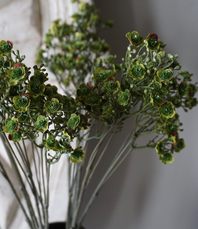 Rene Houtman Zijden Gipskruid | Groen | 4 Stuks | L70 cm