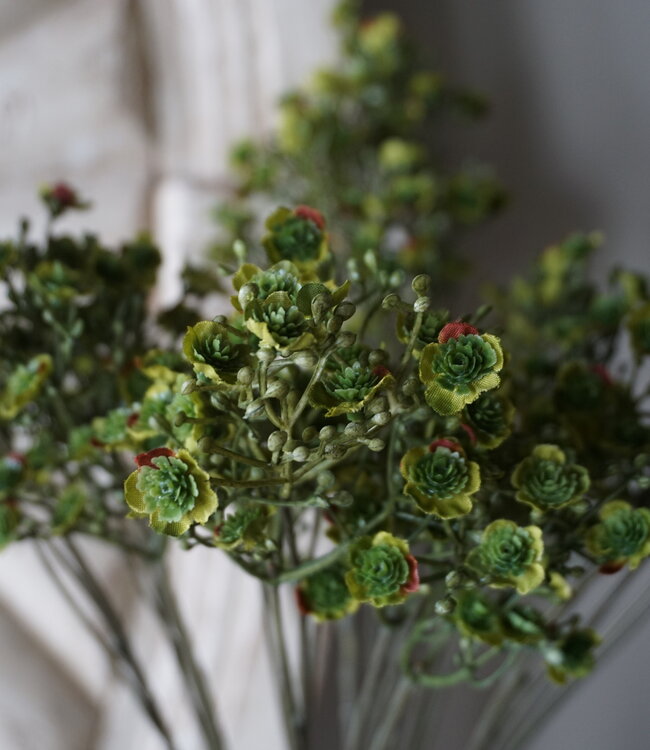 Rene Houtman Zijden Gipskruid | Groen | 4 Stuks | L70 cm