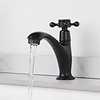 Landelijk Fonteinkraantje | Zwart | Koud Water