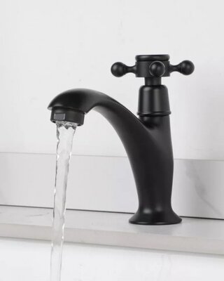 Rene Houtman Landelijk Fonteinkraantje | Zwart | Koud Water