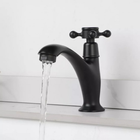 Rene Houtman Landelijk Fonteinkraantje | Zwart | Koud Water