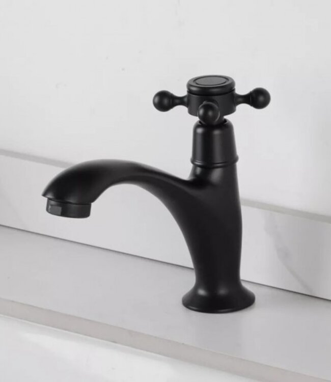 Rene Houtman Landelijk Fonteinkraantje | Zwart | Koud Water