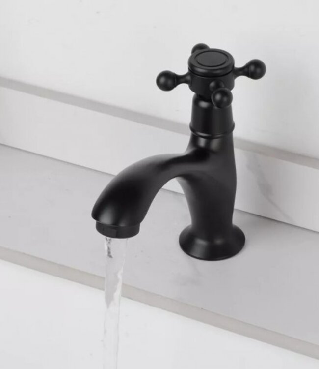 Rene Houtman Landelijk Fonteinkraantje | Zwart | Koud Water