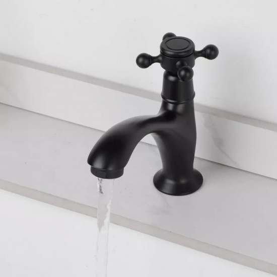 Rene Houtman Landelijk Fonteinkraantje | Zwart | Koud Water