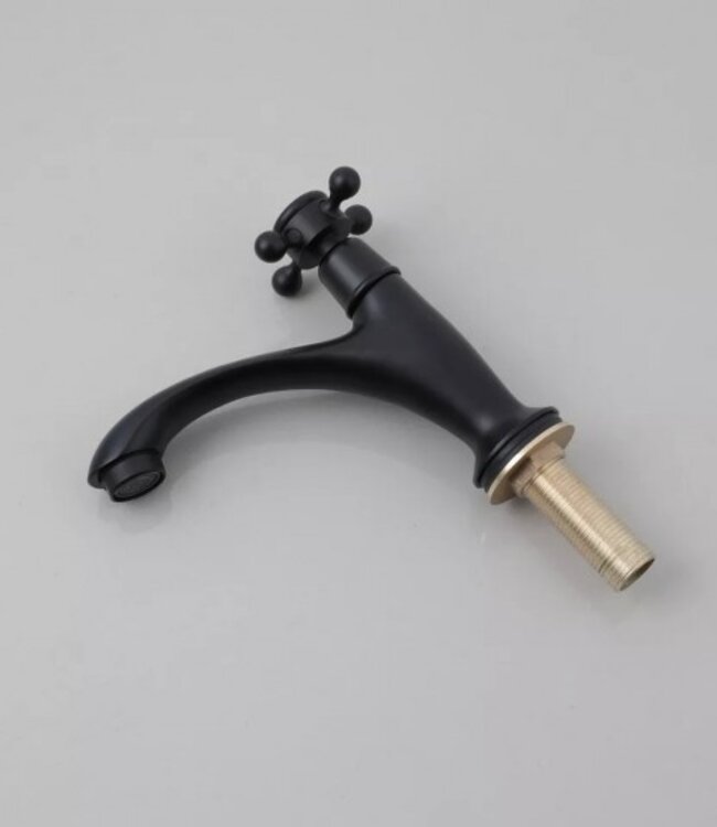 Rene Houtman Landelijk Fonteinkraantje | Zwart | Koud Water