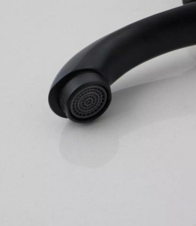 Rene Houtman Landelijk Fonteinkraantje | Zwart | Koud Water