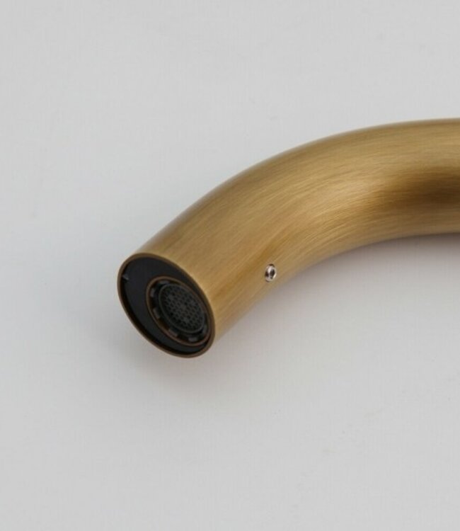 Rene Houtman Muurkraan Sensor | Brons | Kort Model