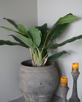 Rene Houtman Bananenboom Kunst Medium H120 Cm