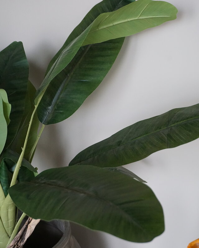 Rene Houtman Bananenboom Kunst Medium H120 Cm