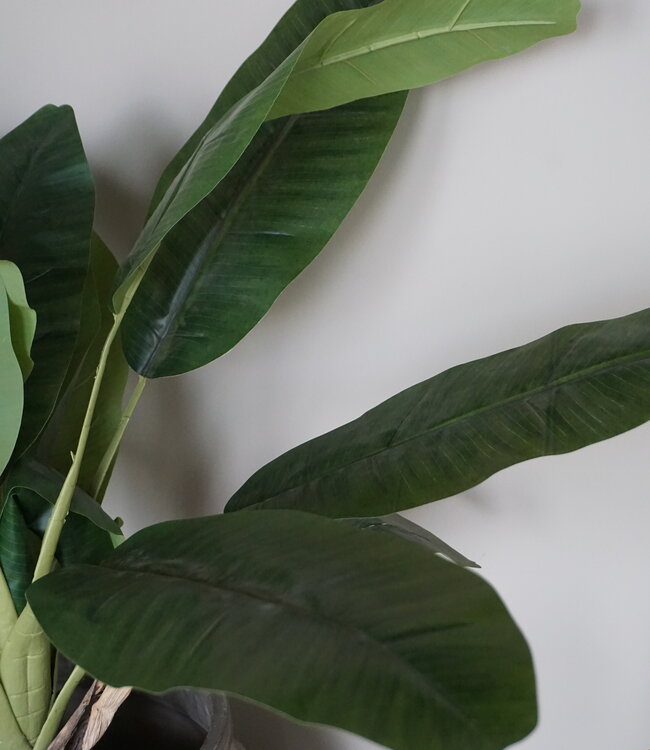 Rene Houtman Bananenboom Kunst Medium H120 Cm