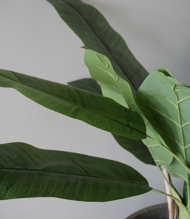 Rene Houtman Bananenboom Kunst Medium H120 Cm