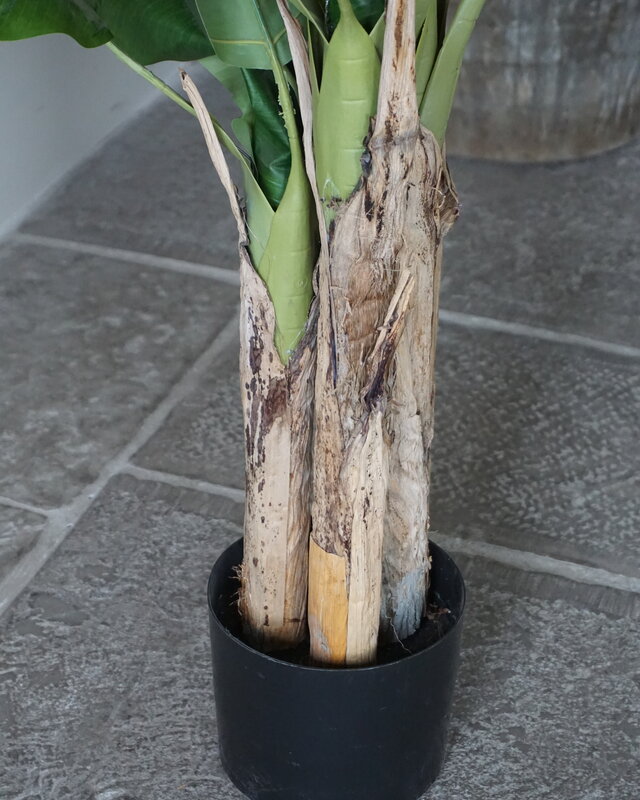 Rene Houtman Bananenboom Kunst Medium H120 Cm