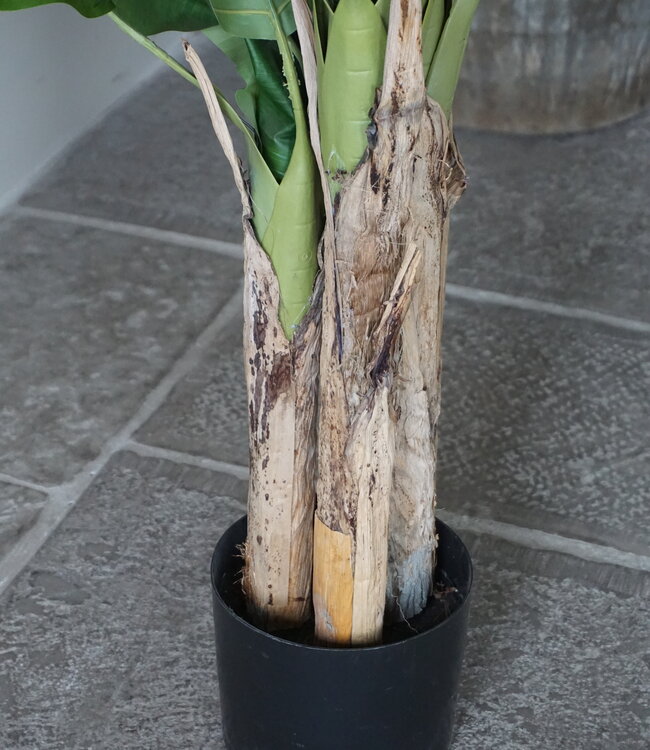 Rene Houtman Bananenboom Kunst Medium H120 Cm