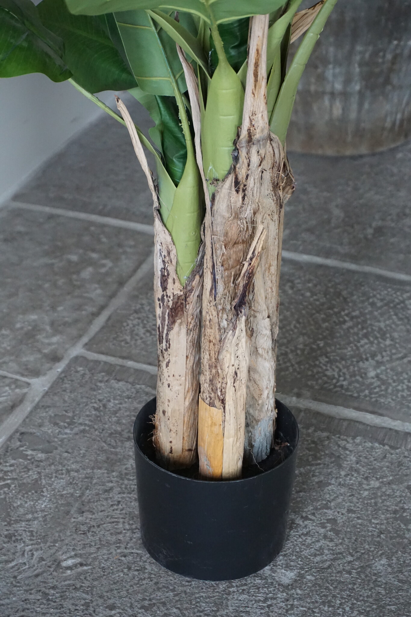 Rene Houtman Bananenboom Kunst Medium H120 Cm