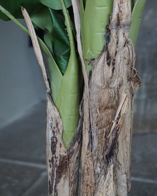 Rene Houtman Bananenboom Kunst Medium H120 Cm
