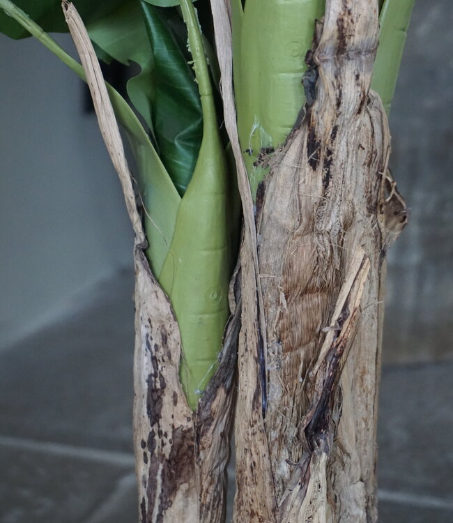 Rene Houtman Bananenboom Kunst Medium H120 Cm