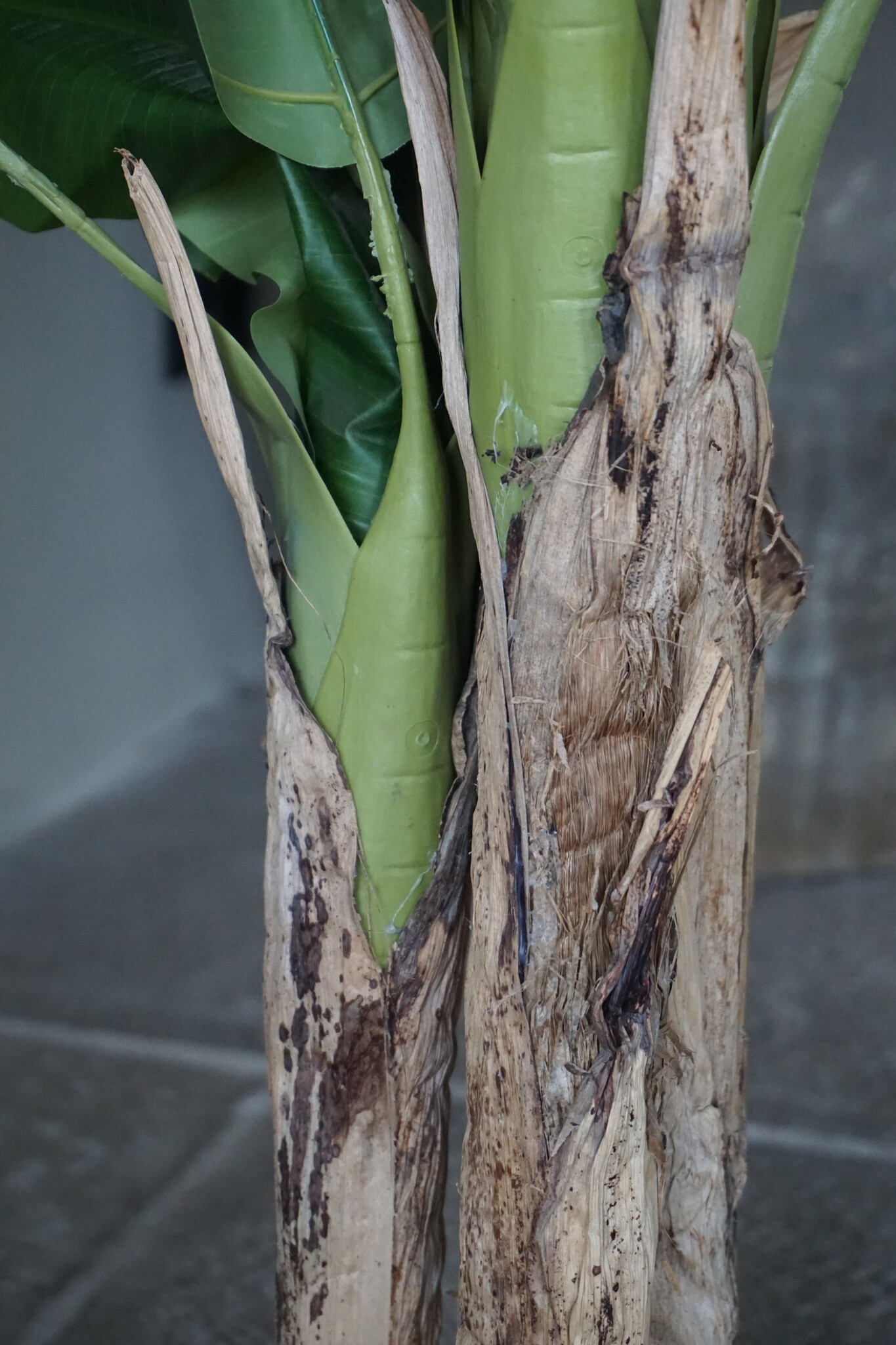 Rene Houtman Bananenboom Kunst Medium H120 Cm