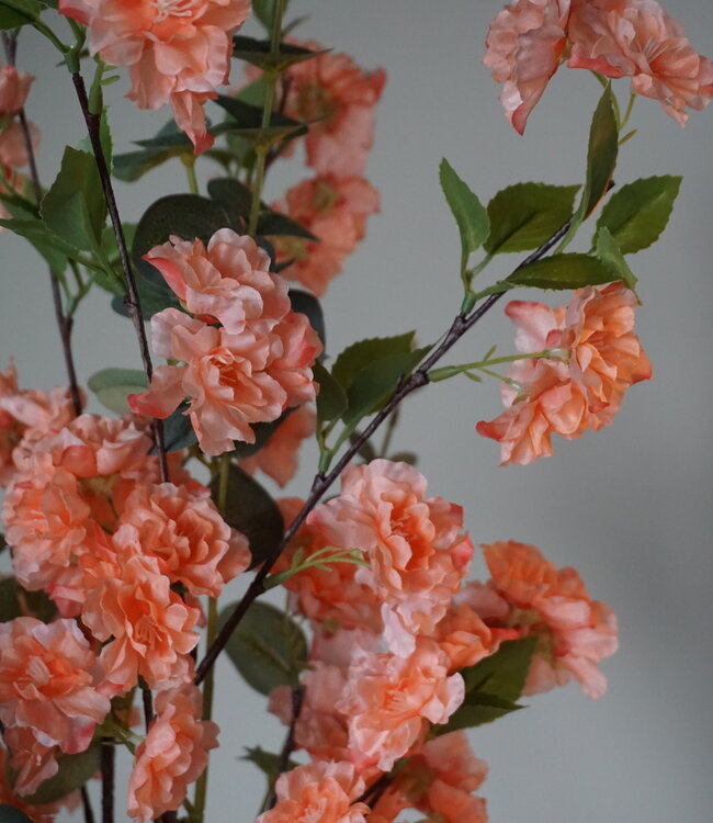 Rene Houtman Bloesem Pleun | Zijden Takken | H90 cm