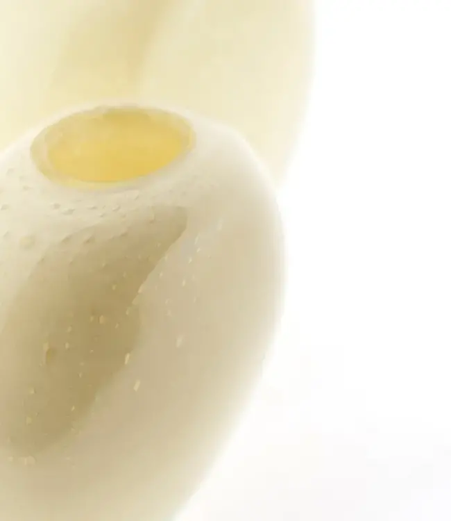 DutZ Vaas Ovali | Creme Bubbles | 2 Maten