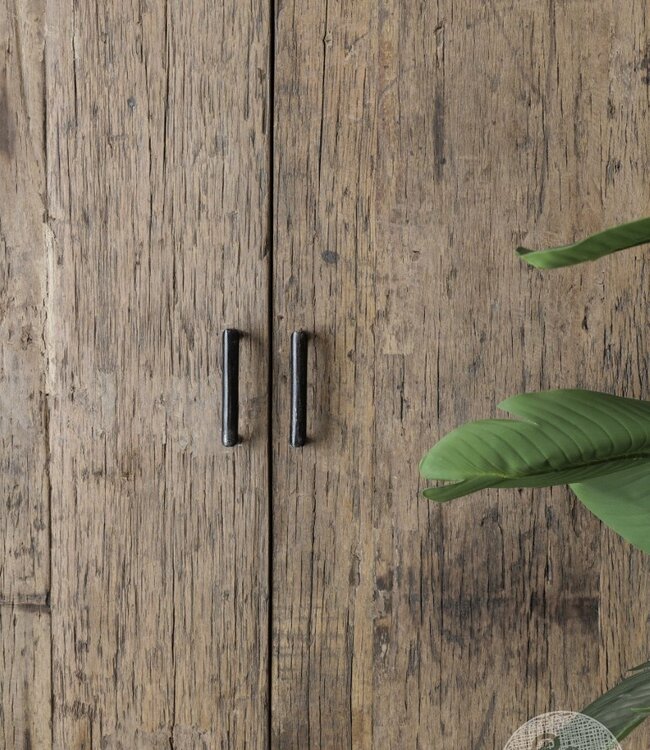 Be-Uniq 2-Deurs Kast | Mexico | H190 x B100 x D40 cm