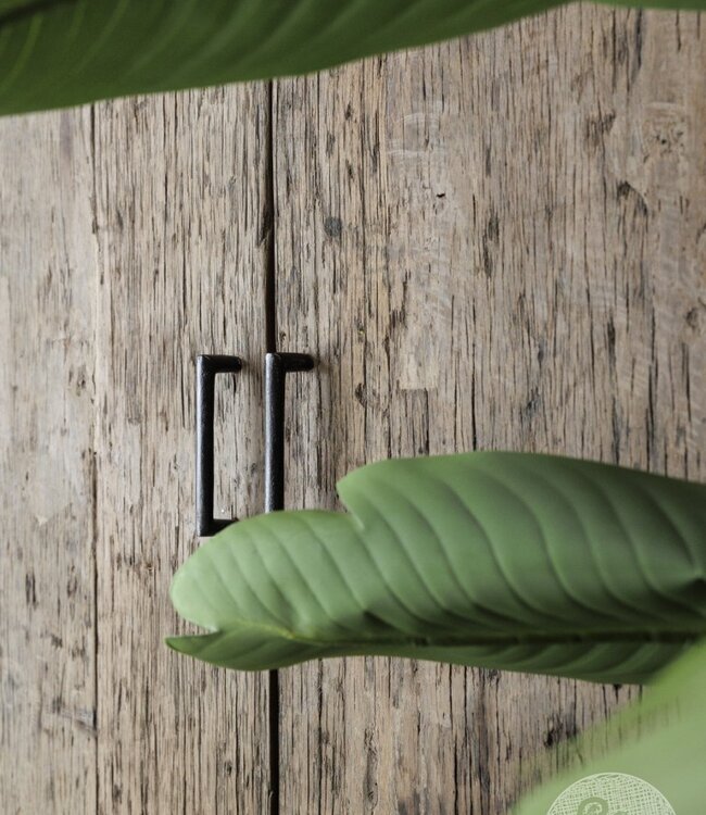 Be-Uniq 2-Deurs Kast | Mexico | H190 x B100 x D40 cm