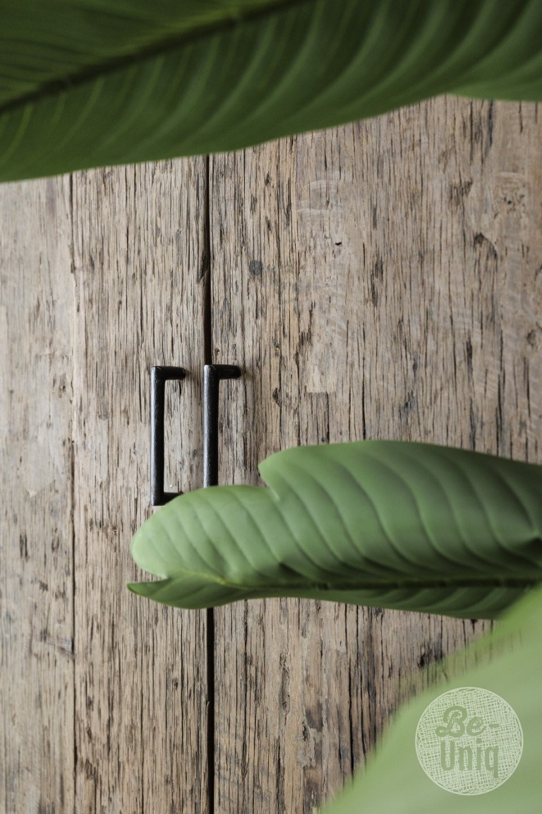 Be-Uniq 2-Deurs Kast | Mexico | H190 x B100 x D40 cm