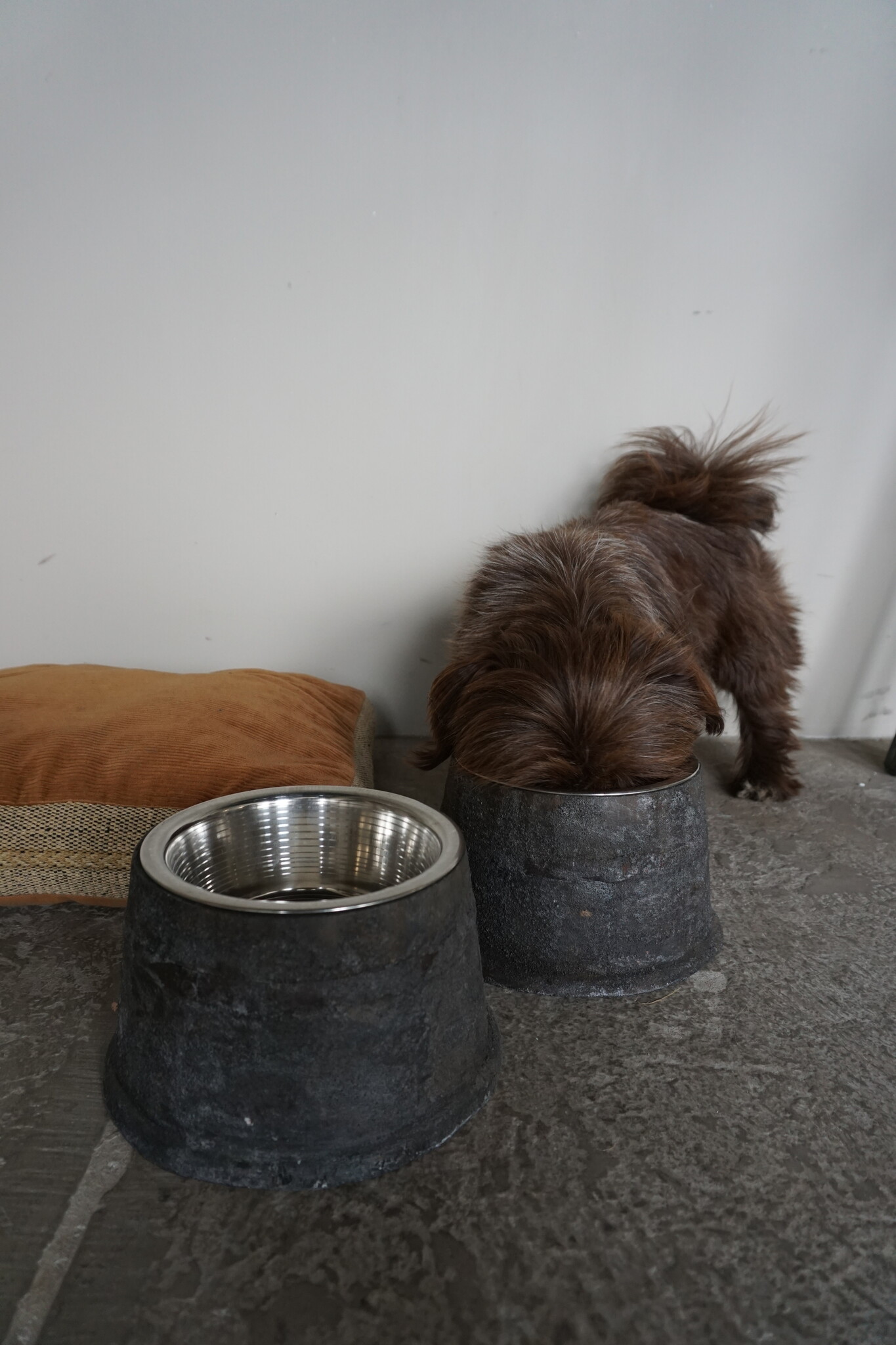 Rene Houtman Voerbak Hond/Kat | Grijs | 2 Maten