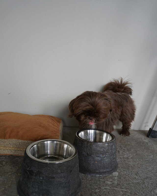 Rene Houtman Voerbak Hond/Kat | Grijs | 2 Maten