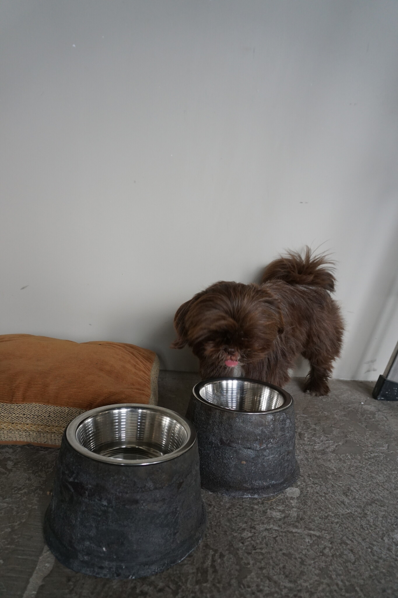 Rene Houtman Voerbak Hond/Kat | Grijs | 2 Maten