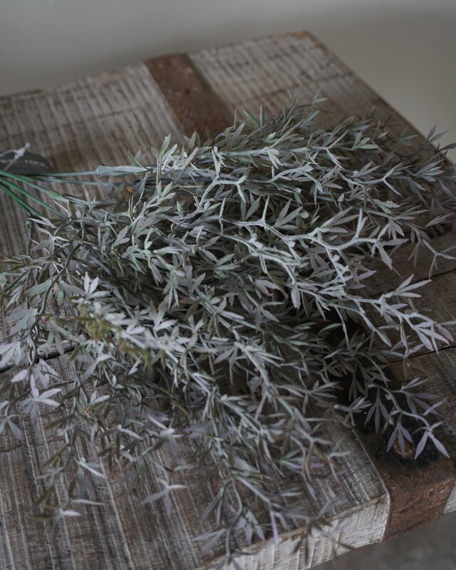 Brynxz Sedum Takken | H30 cm