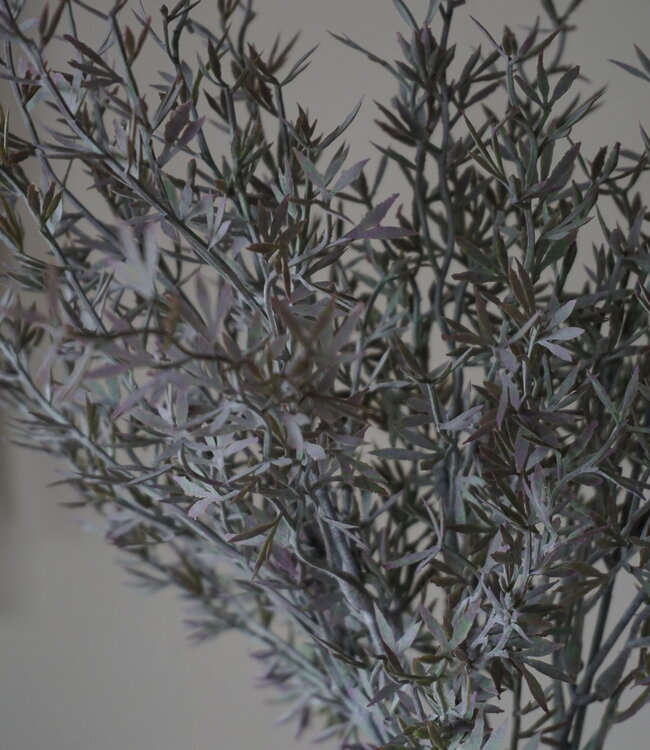 Brynxz Sedum Takken | H30 cm