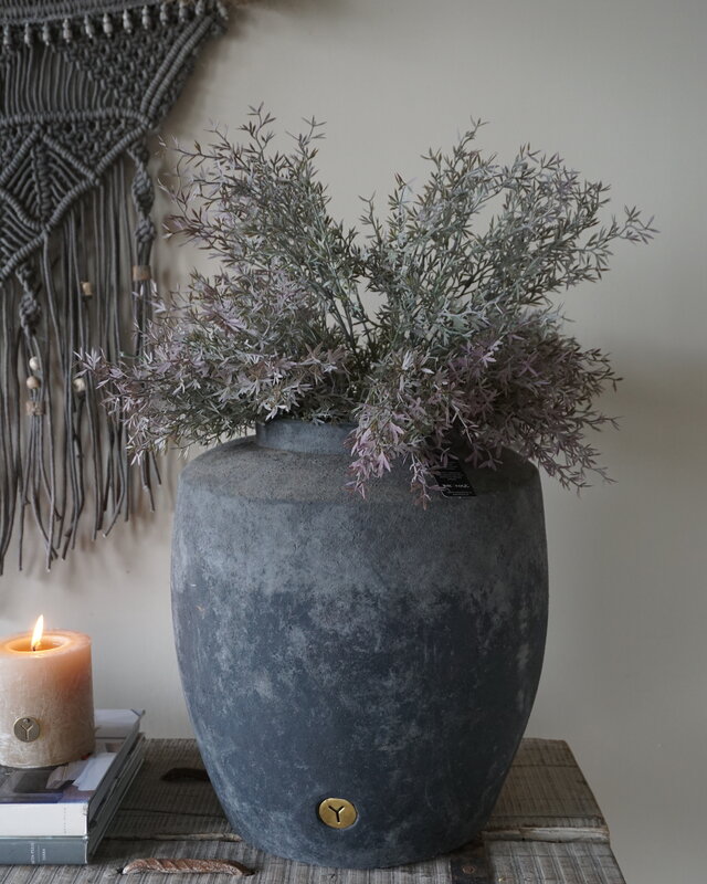 Brynxz Sedum Takken | H30 cm
