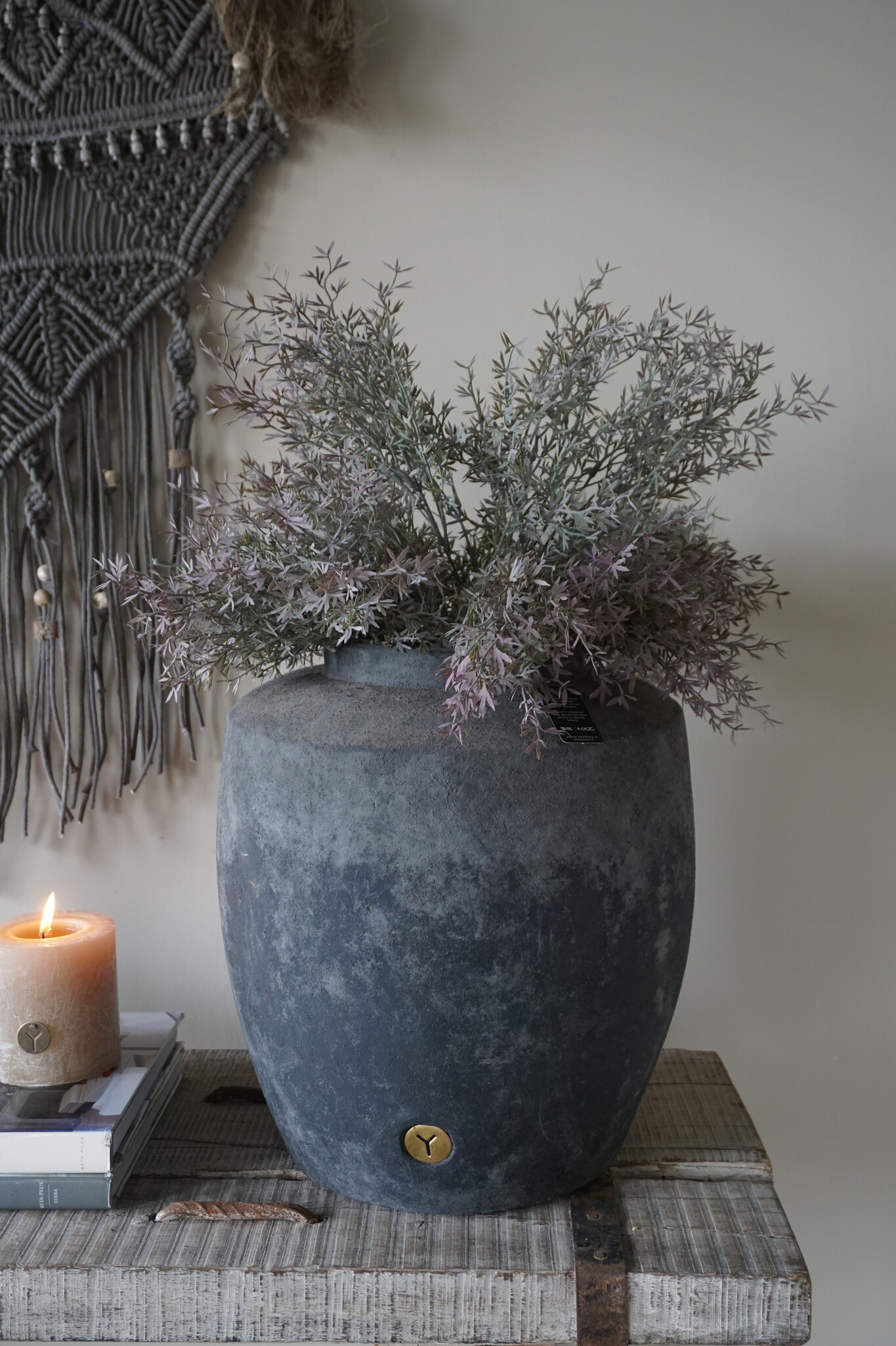 Brynxz Sedum Takken | H30 cm