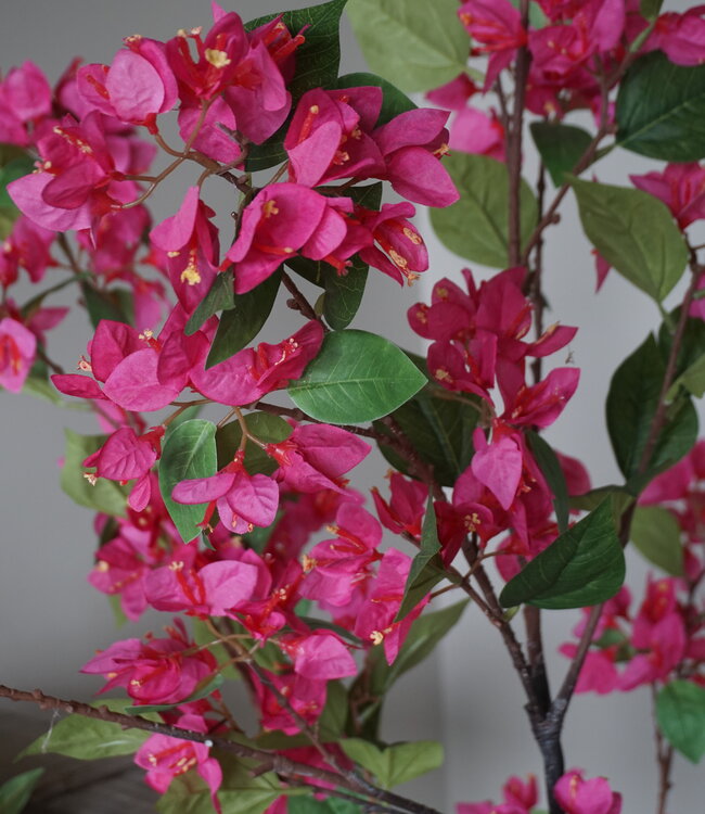 Rene Houtman Kunstbloem Bougainvillea Roze | Zijden | H155 cm
