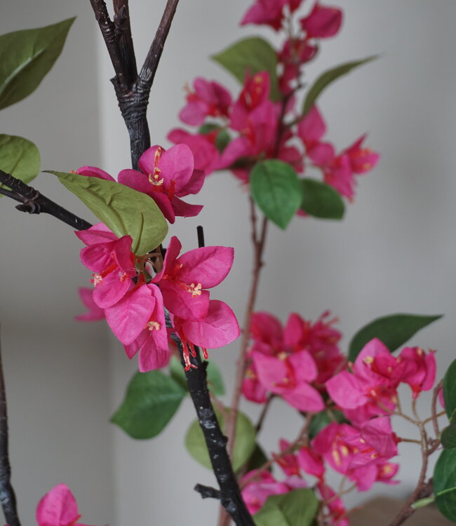 Rene Houtman Kunstbloem Bougainvillea Roze | Zijden | H155 cm