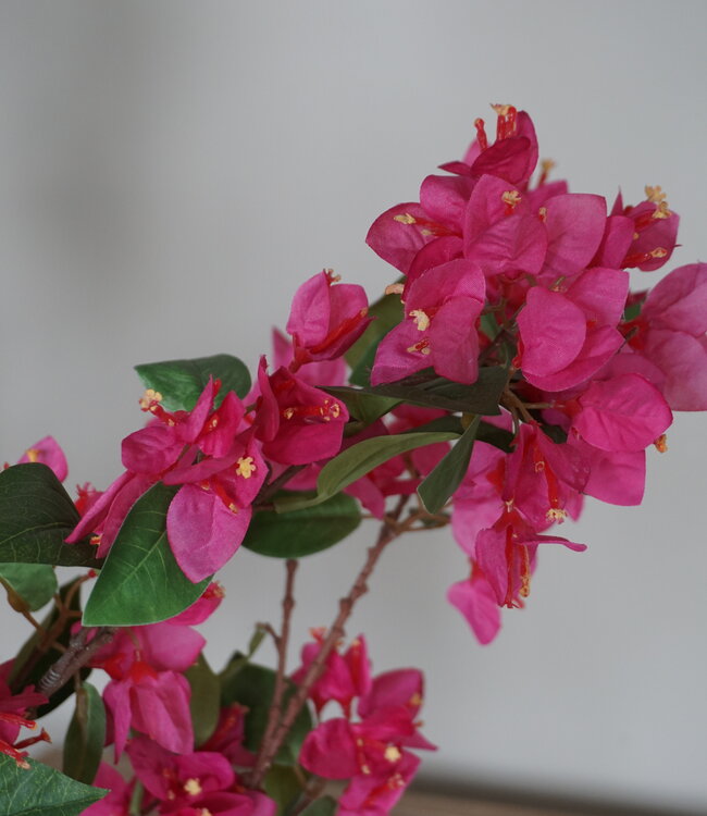 Rene Houtman Kunstbloem Bougainvillea Roze | Zijden | H155 cm