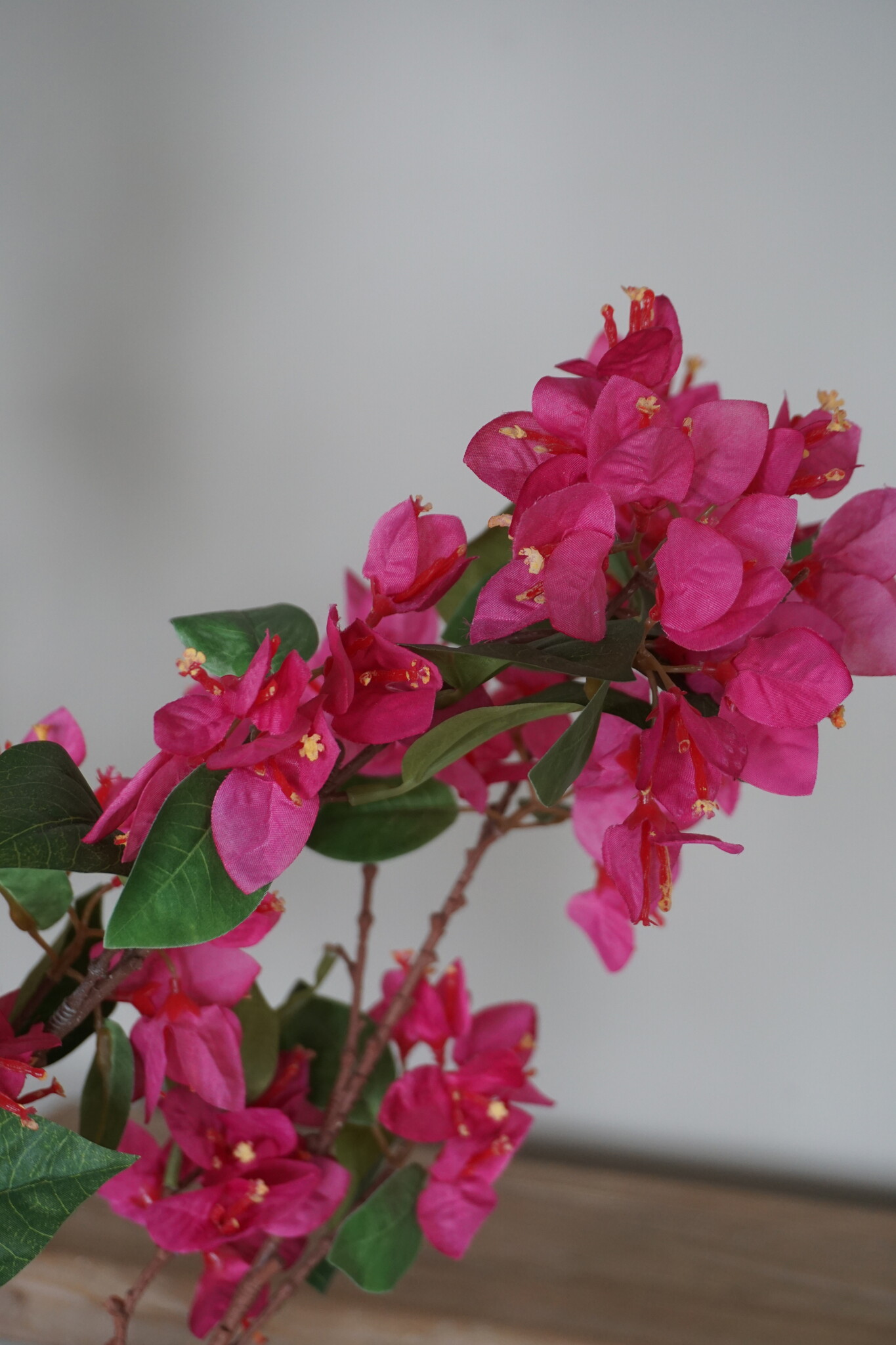 Rene Houtman Kunstbloem Bougainvillea Roze | Zijden | H155 cm