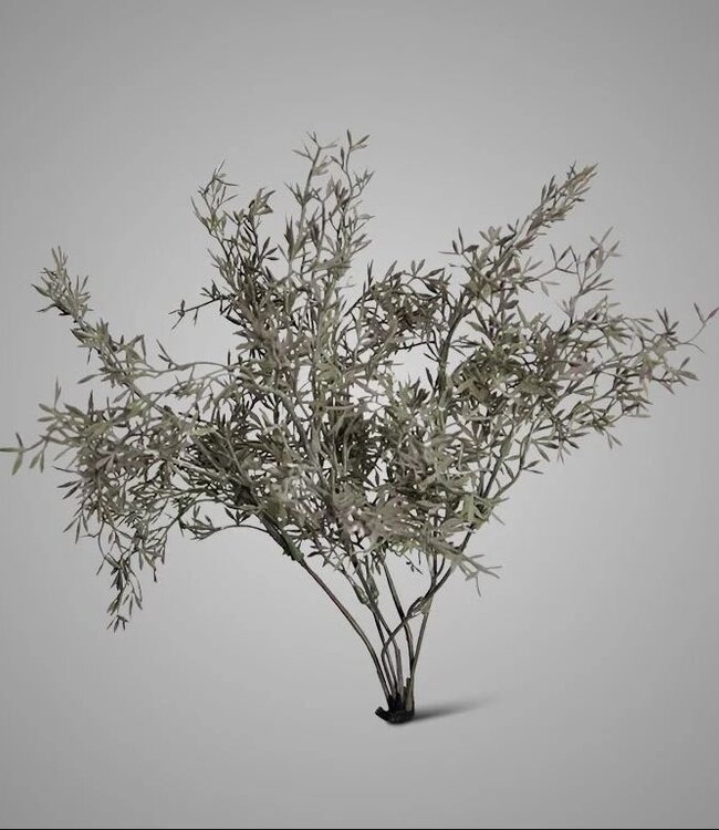 Brynxz Sedum Takken | H30 cm