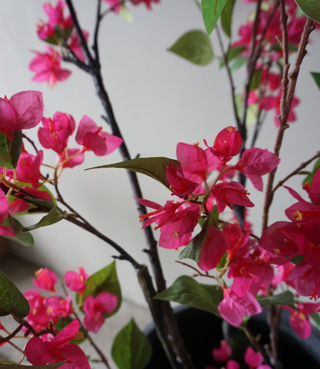 Rene Houtman Kunstbloem Bougainvillea Roze | Zijden | H155 cm