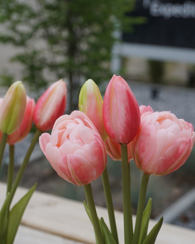 Rene Houtman Kunstbloem Real Touch Tulpen | Roze | 5 Stuks | L29 Cm