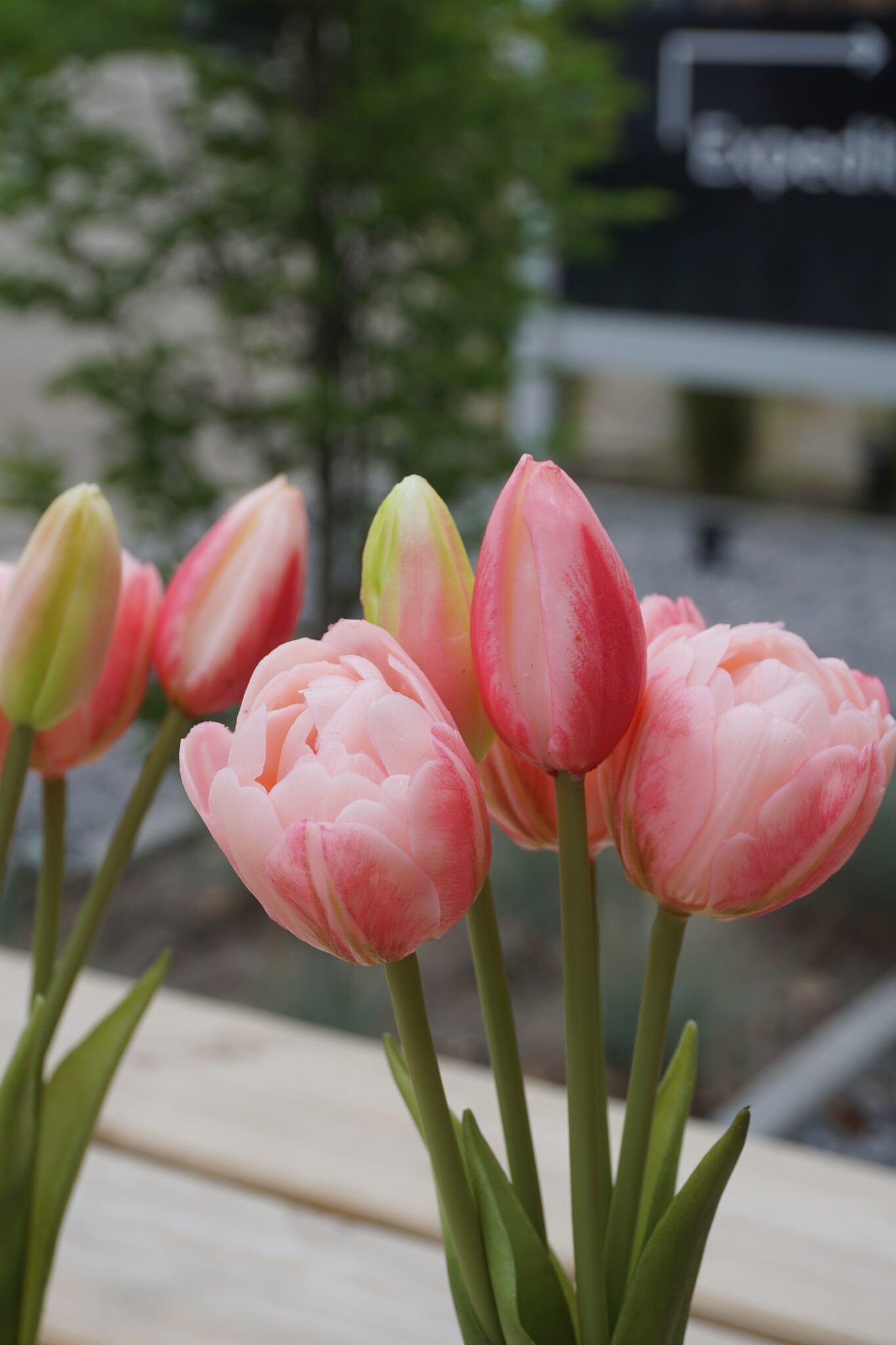 Rene Houtman Kunstbloem Real Touch Tulpen | Roze | 5 Stuks | L29 Cm