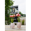 Kunstbloem Real Touch Tulpen | Roze | 5 Stuks | L29 Cm