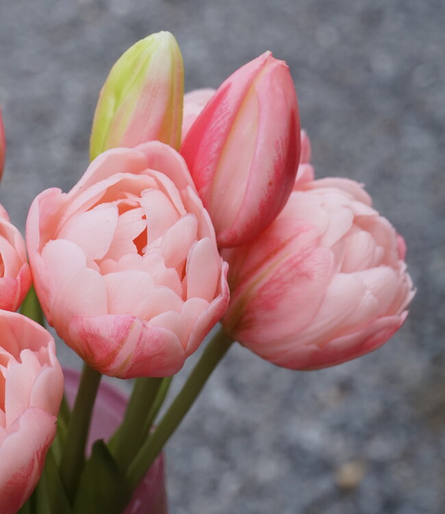 Rene Houtman Kunstbloem Real Touch Tulpen | Roze | 5 Stuks | L29 Cm