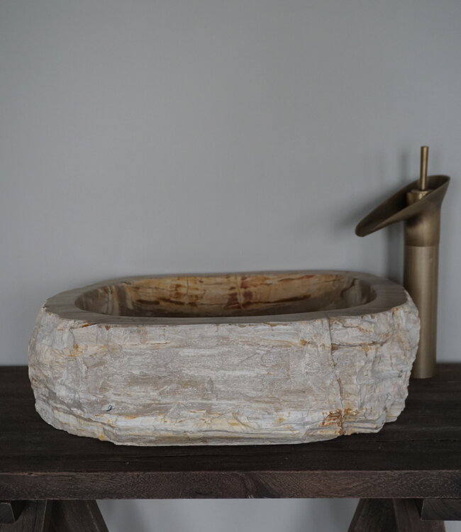 Rene Houtman Waskom Fossil | Versteend Hout | H16xB46xD38 cm
